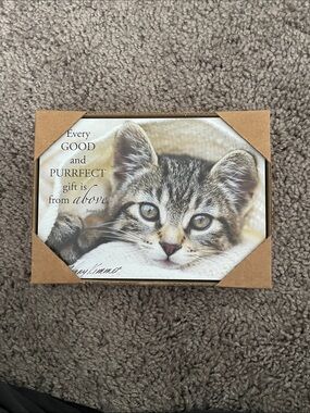 Simply Be Tabby Kitten Print - Cream, Tan, Gray